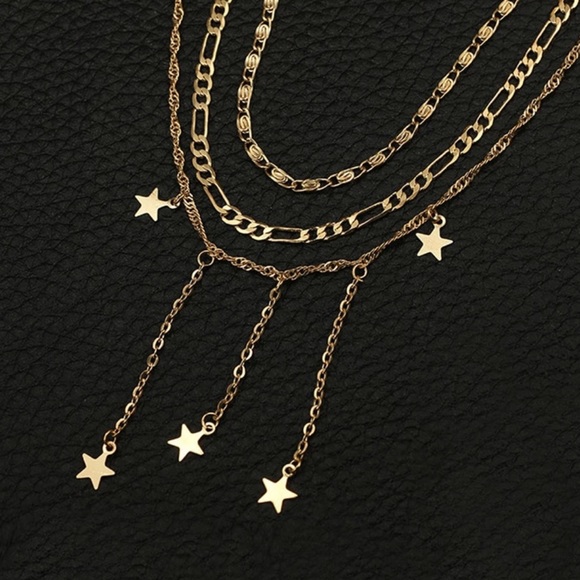 ONE DAY SALE NEW Layer Necklace - Picture 3 of 6